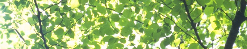 名古屋の糖尿病と甲状腺の専門医院